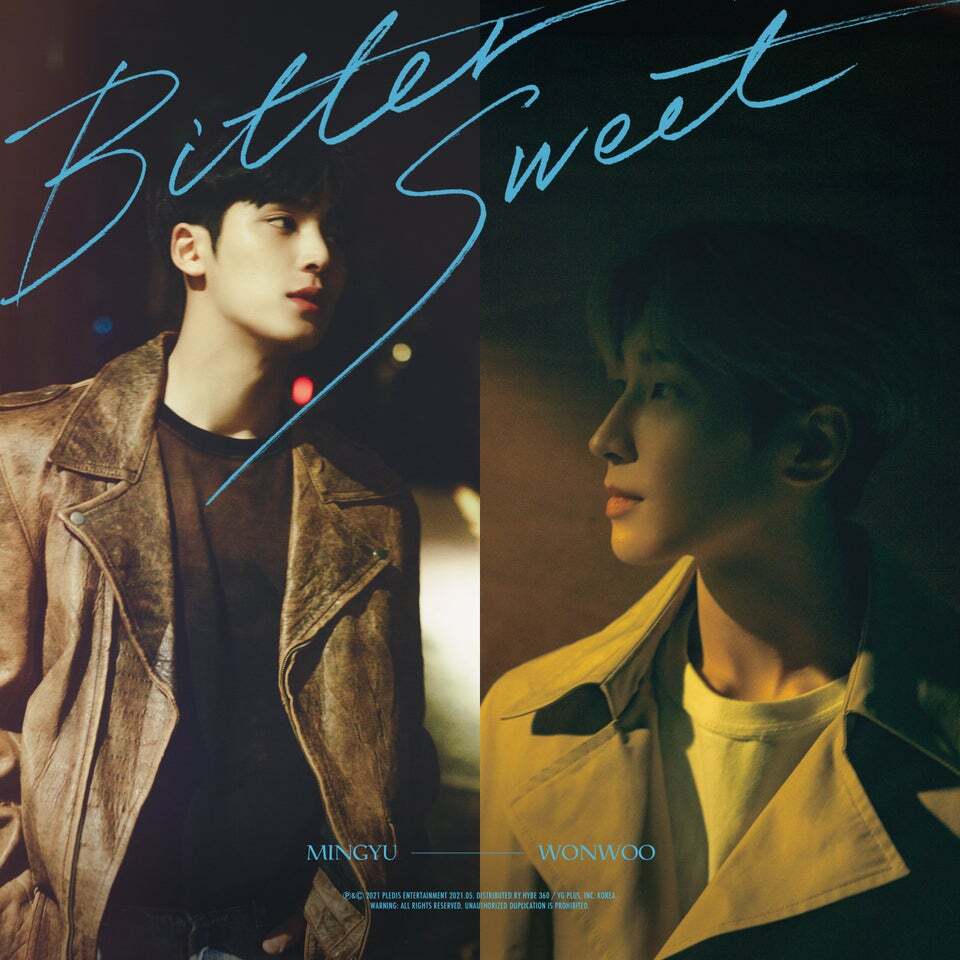 WONWOO & MINGYU Bittersweet
